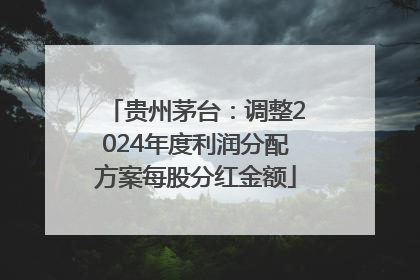贵州茅台：调整2024年度利润分配方案每股分红金额