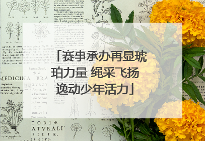 赛事承办再显琥珀力量 绳采飞扬逸动少年活力