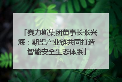 赛力斯集团董事长张兴海：期望产业链共同打造智能安全生态体系