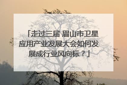 走过三届 眉山市卫星应用产业发展大会如何发展成行业风向标？
