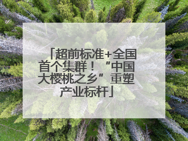 超前标准+全国首个集群！“中国大樱桃之乡”重塑产业标杆