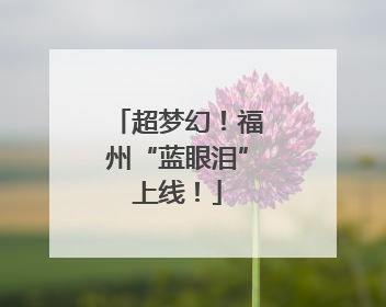 超梦幻！福州“蓝眼泪”上线！