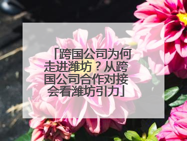 跨国公司为何走进潍坊？从跨国公司合作对接会看潍坊引力