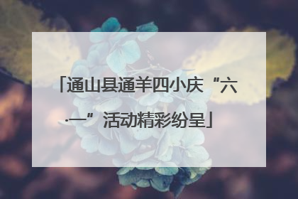 通山县通羊四小庆“六·一”活动精彩纷呈