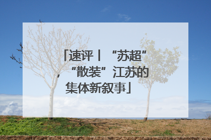 速评丨“苏超”，“散装”江苏的集体新叙事