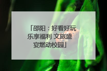 邵阳：好看好玩乐享福利 文旅盛宴燃动校园