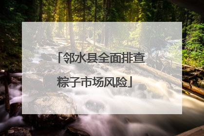 邻水县全面排查粽子市场风险