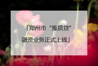 郑州市“豫质贷”融资业务正式上线
