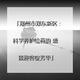 郑州市郑东新区：科学养护绘荷韵 盛景迎客绽芳华