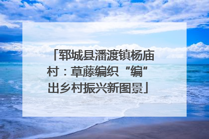 郓城县潘渡镇杨庙村：草藤编织“编”出乡村振兴新图景