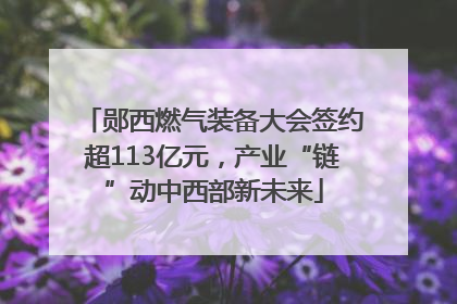 郧西燃气装备大会签约超113亿元，产业“链”动中西部新未来