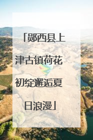 郧西县上津古镇荷花初绽邂逅夏日浪漫