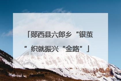 郧西县六郎乡“银茧”织就振兴“金路”