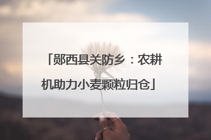 郧西县关防乡：农耕机助力小麦颗粒归仓