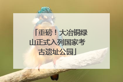 重磅！大冶铜绿山正式入列国家考古遗址公园
