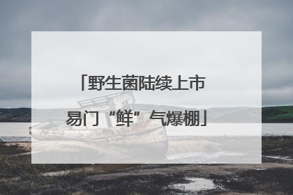 野生菌陆续上市 易门“鲜”气爆棚