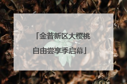 金普新区大樱桃自由尝享季启幕