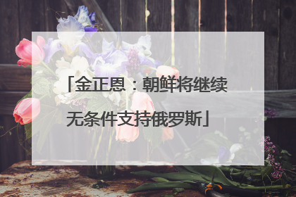 金正恩：朝鲜将继续无条件支持俄罗斯