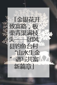 金银花开致富路，板栗青果满枝头——团风县钓鱼台村“山水生金”谱写共富新篇章