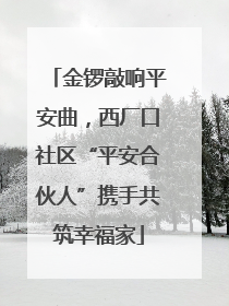 金锣敲响平安曲，西厂口社区“平安合伙人”携手共筑幸福家