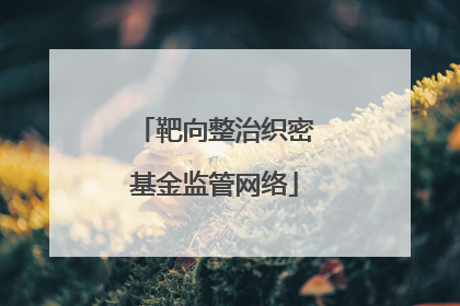 靶向整治织密基金监管网络