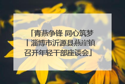 青燕争锋 同心筑梦丨淄博市沂源县燕崖镇召开年轻干部座谈会