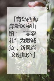 青岛西海岸新区宝山镇：“零彩礼”为爱减负，新风尚文明加分
