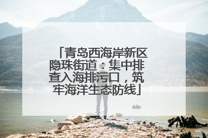 青岛西海岸新区隐珠街道：集中排查入海排污口，筑牢海洋生态防线