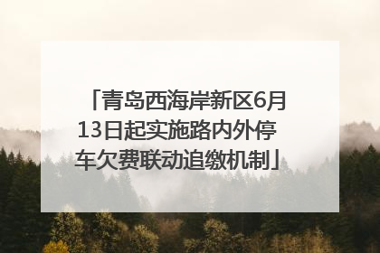 青岛西海岸新区6月13日起实施路内外停车欠费联动追缴机制