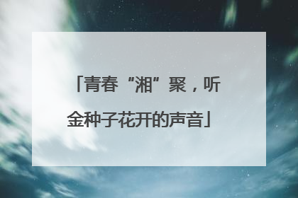 青春“湘”聚，听金种子花开的声音