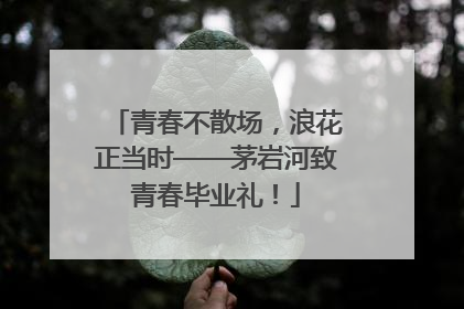 青春不散场，浪花正当时——茅岩河致青春毕业礼！