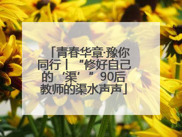 青春华章·豫你同行丨“修好自己的‘渠’”90后教师的渠水声声