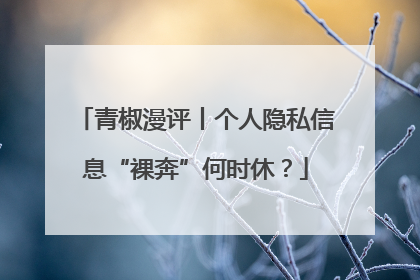 青椒漫评丨个人隐私信息“裸奔”何时休？