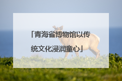 青海省博物馆以传统文化浸润童心