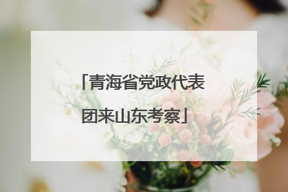 青海省党政代表团来山东考察