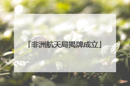 非洲航天局揭牌成立