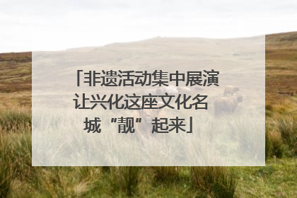 非遗活动集中展演 让兴化这座文化名城“靓”起来