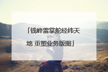 钱峰雷掌舵经纬天地 重塑业务版图