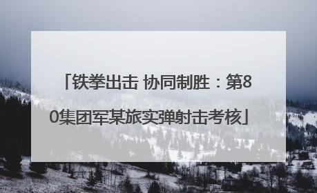 铁拳出击 协同制胜：第80集团军某旅实弹射击考核