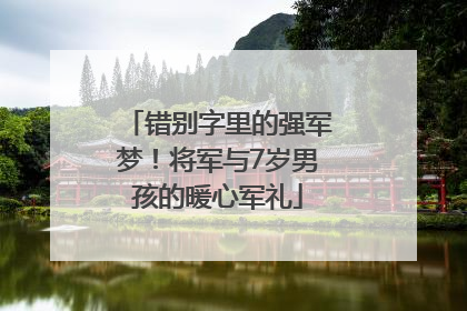 错别字里的强军梦！将军与7岁男孩的暖心军礼