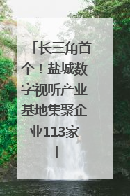 长三角首个！盐城数字视听产业基地集聚企业113家