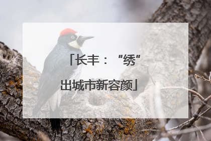 长丰：“绣”出城市新容颜