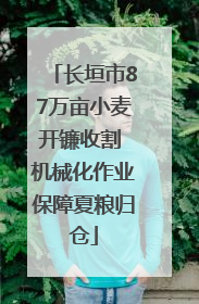 长垣市87万亩小麦开镰收割 机械化作业保障夏粮归仓