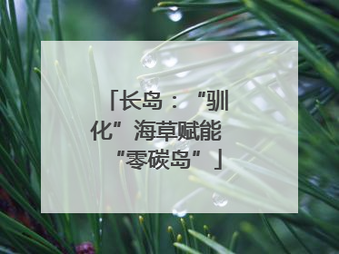 长岛：“驯化”海草赋能“零碳岛”