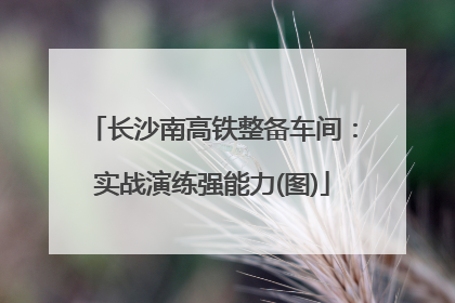 长沙南高铁整备车间：实战演练强能力(图)