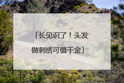 长见识了！头发做刺绣可值千金