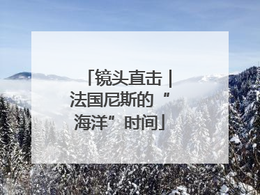 镜头直击｜法国尼斯的“海洋”时间