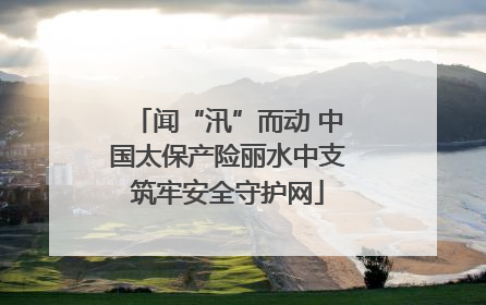 闻“汛”而动 中国太保产险丽水中支筑牢安全守护网