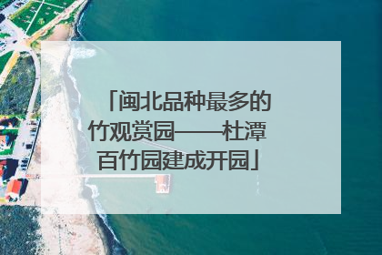 闽北品种最多的竹观赏园——杜潭百竹园建成开园