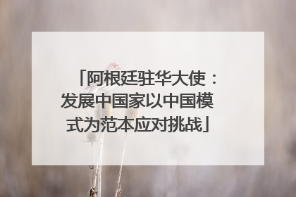 阿根廷驻华大使：发展中国家以中国模式为范本应对挑战